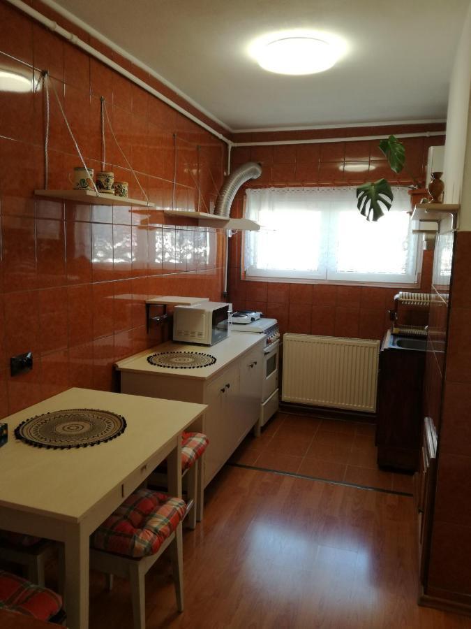 Sara Apartman Târgu-Mureş 外观 照片
