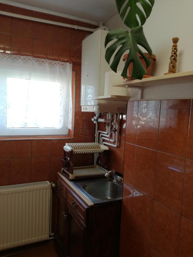 Sara Apartman Târgu-Mureş 外观 照片