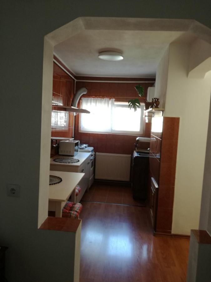 Sara Apartman Târgu-Mureş 外观 照片