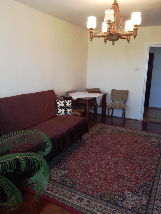 Sara Apartman Târgu-Mureş 外观 照片